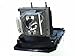 OEM Smart Board 20-01032-20 Projector Lamp for the ST230I, UNIFI 55, Unifi 55W, and Unifi 65 Projectors