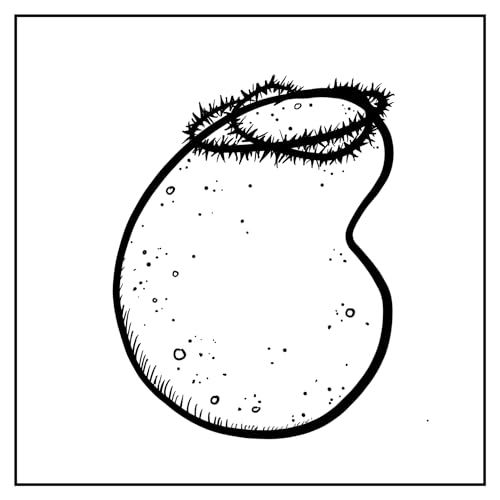 Quellkartoffeln und Jesus cover art