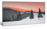 DJSYLIFE Winter Snowy Forest Mountain Landscape Wall Art Canvas Print - Modern Nature Scene Home Decor for Bedroom, Living Room, Office 20x40 Inches