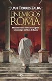  Enemigos de Roma: El destino de los nietos de Escipión: ser enemigos públicos de Roma (NOVELA HISTORICA)