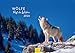 Produktbild Edition Seidel Premium Kalender Wölfe Ruf der Wildnis 2026 Format DIN A3 Wandkalender Tiere Wolf Wolfsrudel Wildnis Natur