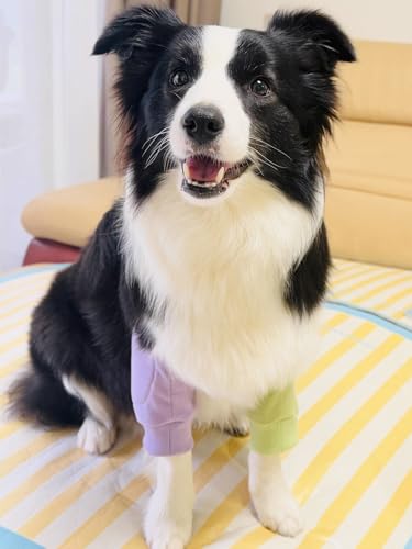 Image of Dog Elbow Pads Knee Protector Wraps Elbow Callus Treatment Sleeve for Wounds Front Legs Stop Licking Medium Large Dogs 2XL, Purple