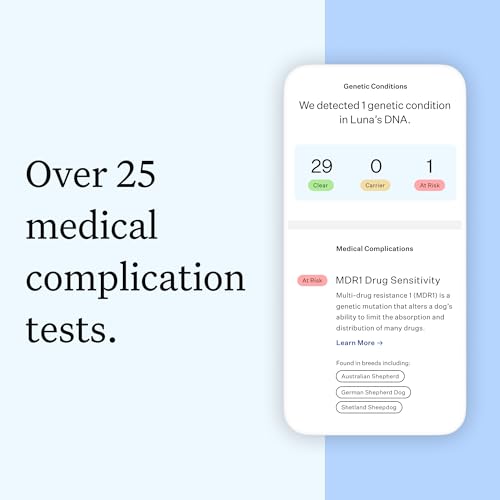 wisdom health essential dog dna kit  most accurate test  365 breeds  30 genetic health conditions  50 traits relatives ancestry  pack of 1