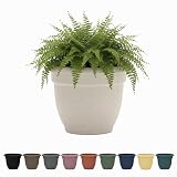 Bloem Ariana 8' Vanilla Bean Round Self Watering Planter Pot - Rolled Rim...