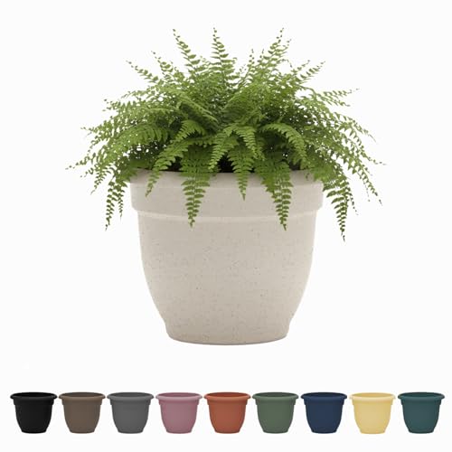 Bloem Ariana 8" Vanilla Bean Round Self Watering Planter Pot - Rolled Rim Plastic Resin Indoor or Outdoor Gardening Planter with Drainage Holes, Made in USA