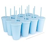 STRATA CUPS Classic 16 Oz Tumbler with Lid and Straw (12 pack) - Pastel Periwinkle Colored Cups, Double Wall Matte Acrylic Tumblers with Lids and Straws Cleaner! Vinyl Customizable DIY Party Gifts