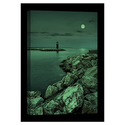Tableau nature 80x120 cm deco murale phosphorescente DCL066-2 - 2