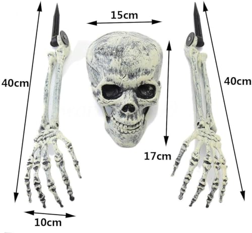 Calavera, Toy Imagen adicional
