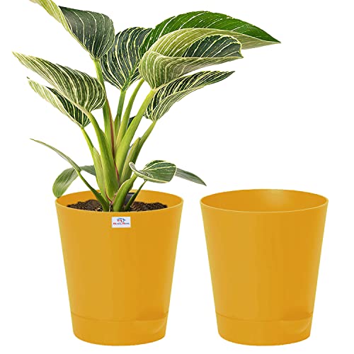 Image of Heart Home Plastic Titan Pot|Garden Container for Plants & Flowers|Self-Watering Pot with Drainage Holes,6 Inch,Pack of 2 (Yellow)