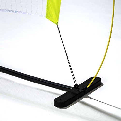 Pickleball Starter Set for Beginners - Includes Net, Two Paddles, and One X-40 Ball