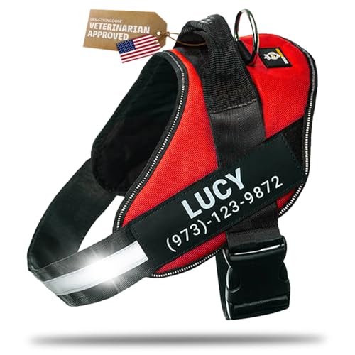 DOGGYKINGDOM Personalized Dog Harness with Custom Name Patches, No Choke, Reflective, Adjustable, Soft Padded Dog Vest Harness with Easy Control Handle for Growing Puppy Size Dog, Red, XS