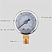 Pressure Gauge 0-200psi 0-14bar, NPT1/8 40mm Diameter Radial Oil Pressure Gauge Hydraulic Gauge Steam Pressure Gauge