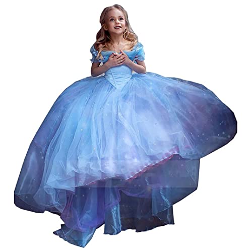 Girls Cinderella Princess Pageant Ball Gowns Kids Tulle Flower Girls Dresses