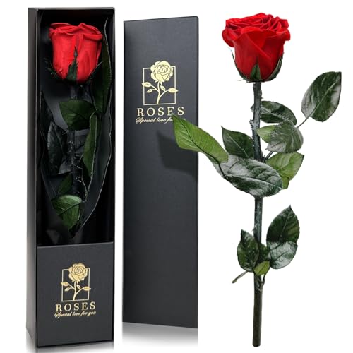 QHHENTOO Infinity Rose - Rosa preservada, rosa eterna, regalos eternos para mujeres, regalos para madre/novia/esposa/abuela, cumpleaños, día de San Valentín, flor eterna (rojo)