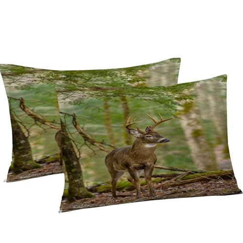 Housse de couette 240 x 260 cerf microfibre douce finitions premium zippée - 5