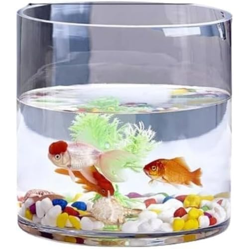 ガラス製水槽　大小2個　他，付属品つき ガラス 小型水槽」の人気商品一覧・価格比較 - 価格.com