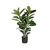 Naturae Decor Fiddle Leaf Tree – Lifelike Artificial Indoor and Outdoor House Plant – UV Resistant – 35 in High