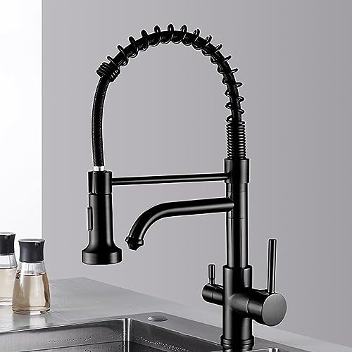 Filtre d'eau robinet double pour purifier l'eau de votre évier de cuisine