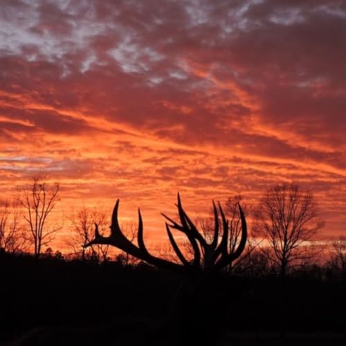 Screamers & Thumpers - High Velocity Hot Rods & Heavy Weight Freight Trains Rifle Rounds Podcast Por  arte de portada