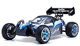 Exceed RC 1/10 Brushless Electric PRO 2.4Ghz SunFire Ready to Run Off Road Buggy EE Blue