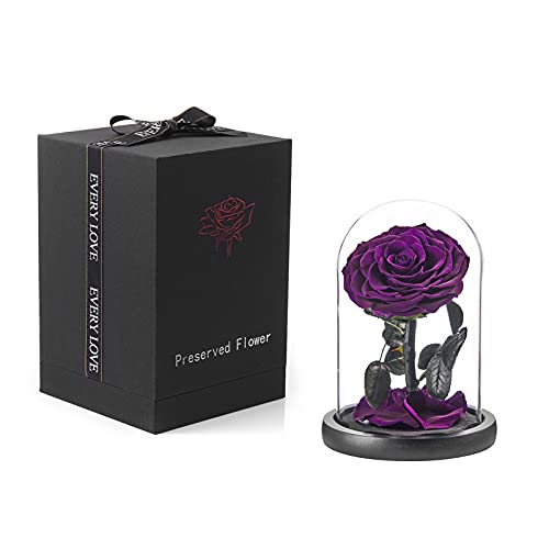 Eterfield Preserved Real Rose Handmade Eternal Rose in Glass Doom Gift for Her Valentine s Day Mother s Day Anniversary Birthday (Small, Purple)