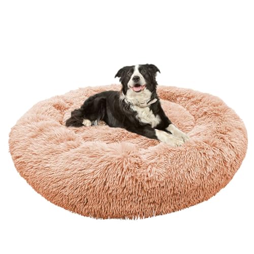 Nicola MUNDI Dolce Gusto - Cápsulas de café compatibles (16 cápsulas)