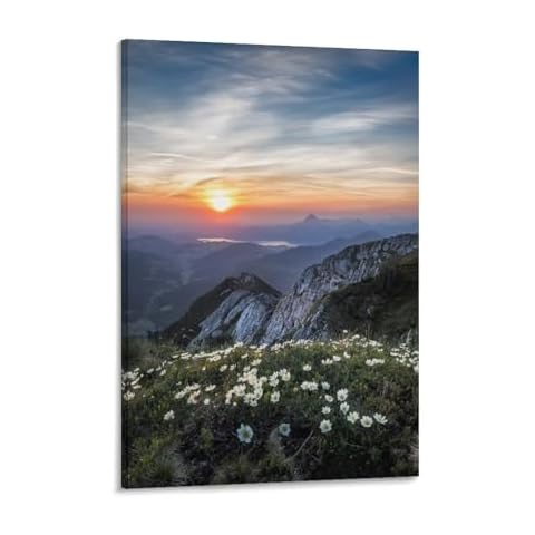 amhello Flowers Blooming in The High Mountains Canvas Poster Wall Art Decor Print Picture Paintings for Living Room Bedroom Decoration 20x30inch(50x75cm) Cover