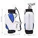 CDQL Mini Desktop Golf Souvenir Set,Mini Golf Pens Holder with Pen for Desk Decoration,Golf Souvenir Event Souvenir Golf Gift for Golfer Friends Fans (Blue and White)