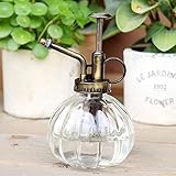 Gugou Water Spray Bottle Vintage Pumpkin Style Decorative Glass Plant Atomizer Watering Can Pot | Plant Mister with Top Pump for Indoor Potted Plants Terrariums Flowers (Clear)