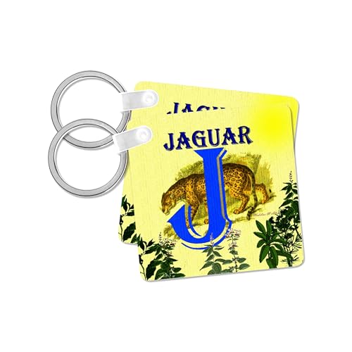 3dRose, Decorative Animal Alphabet Art for children - J is for Jaguar looking for lunch, set of 4 Key Chains