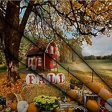 Fotohintergrund Herbstwald - 300x240 Cm Vinyl Für  Produktbild-Vorschau 14