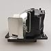 CTLAMP DT01091 Replacement Projector Lamp Bulb with Housing Compatible with Hitachi CP-AW100N CP-D10 CP-DW10N ED-AW100N ED-AW110N ED-D10N ED-D11N