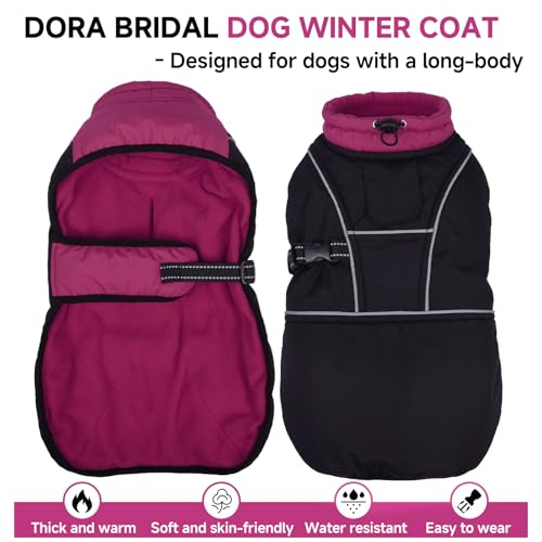 Veste pour chien imperméable réglable反光防寒保护 M码