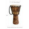 JIVE Djembe Drum African Bongo Congo Wood Drum Deep Carved Solid Mahogany Goat Skin Professional Quality 16 High (Dolphin)