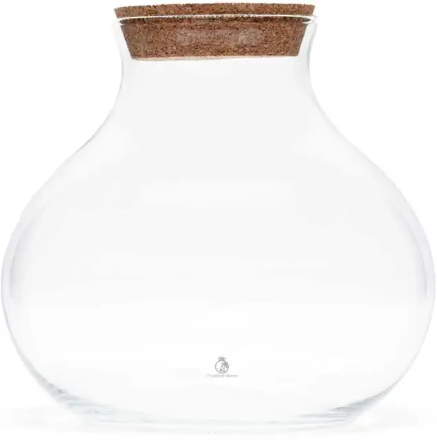 Hand Blown Glass Terrarium Container with Cork Lid, 24x26 cm