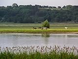  Am Fluss