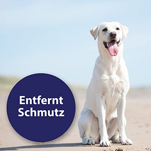 Canosept Ohrreiniger für Hunde 125ml - Lösung zur Ohrenpflege & Hunde Ohrenreinger & Löst Schmutz und natürliche Rückstände im Hundeohr - Ohrentropfen für Hunde - Hund Ohrenentzündung