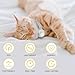 ZITTZ Cat Tracker,No Monthly Fee GPS Trackers for Cats Work with Apple Find My App(iOS Only),Real-Time Location Tracking,Cat Tracker GPS Collar with Safety Elastic Buckle-White