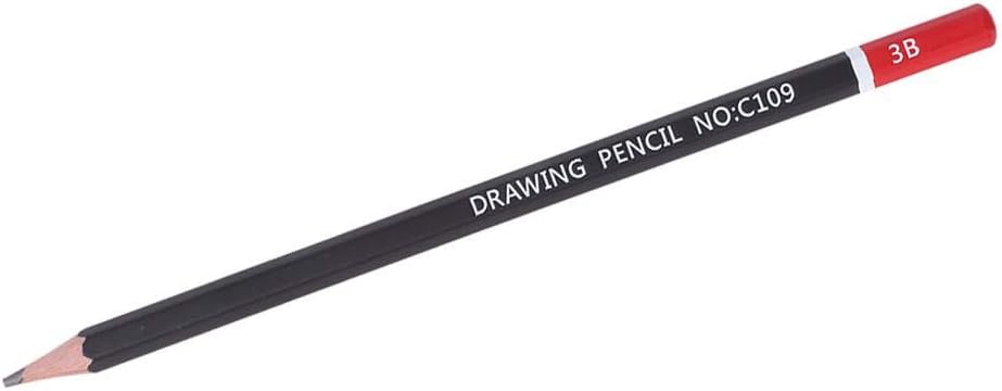 12 PCS Sketching Pencils, Drawing Pencils Professional Sketch Tool Art Supplies (3B) : Arts, Crafts & Sewing