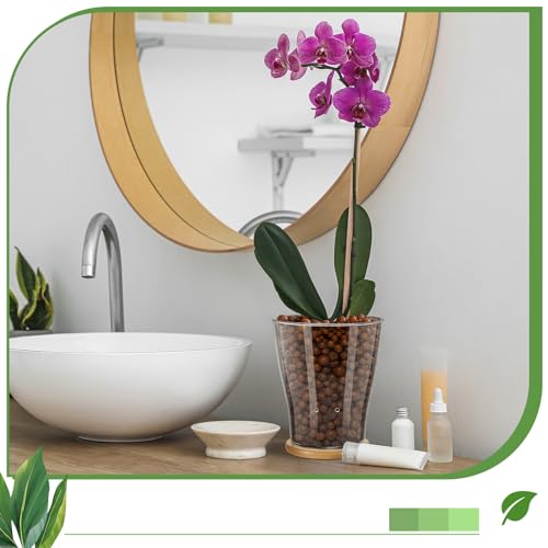 Baderke LE-BADERKE-883 Glass Orchid Pots With Holes And Bamboo Tray Glass Pot Water Level Control Semi Hydroponic Transparent Root Transparent Indoor Orchid Planter thumb #5