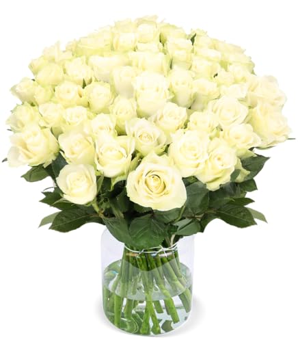 Blume Ideal Rosenstrauß - 50 Rosen in Weiß - Ø 40–50 cm - Echte Premium-Blumen von Floristen – perfekt als Deko, Geschenk oder für Hochzeiten und Events – 7 Tage Frischegarantie – Blume