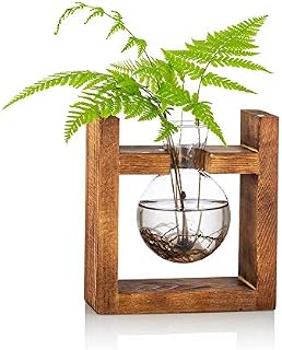 Propagation Station 1 Pc Bulb Vase Glass Sweet Pea Vase for Flowers Terrarium Jar Planter with Wooden Rack Stand Holders for Green Water Plants Fit for Home Kitchen Table Desk Indoor Decor
