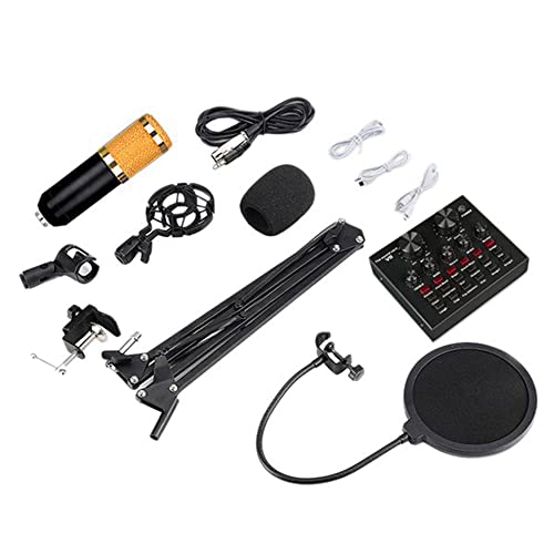 Microphone professionnel BM800 carte son V8 pour PC fixe portable