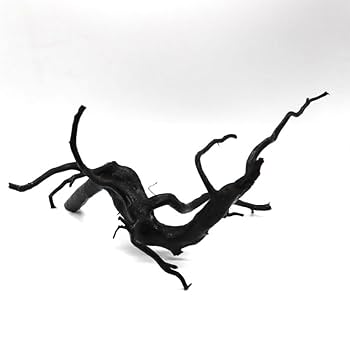 アク抜き済み流木【313】最終価格 楽天市場】流木 アク抜き 済みの通販