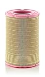 MANN Air Filter C2810452