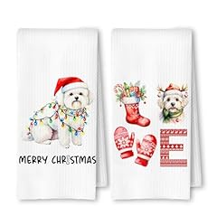 Bichon Frise Christmas