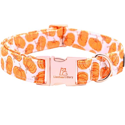 Fall Dog Collar