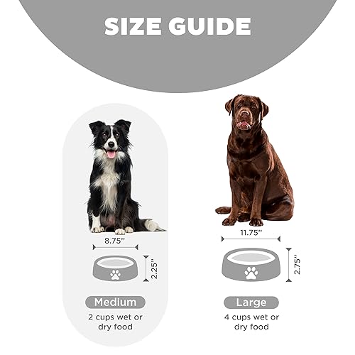 Outward-Hound-Fun-Feeder-Slo-Bowl-Slow-Feeder-Dog-Bowl-MediumMini-Grey