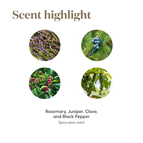 Young Living En-R-Gee Essential Oil 15Ml - Invigorating Aromatherapy - Boost Energy, Vitality, And Mental Focus - Topical & Aromatic - Energize Your Body And Mind #TOP4
