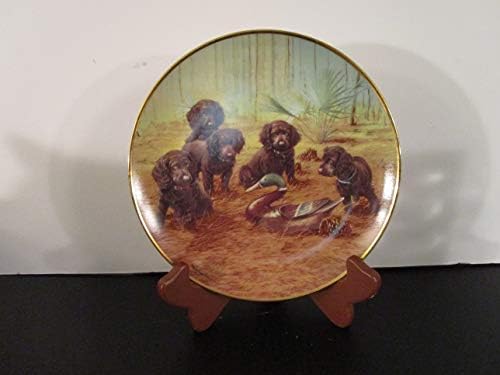 Franklin Mint Heirloom Recommendation Collectible Plate Team Practice